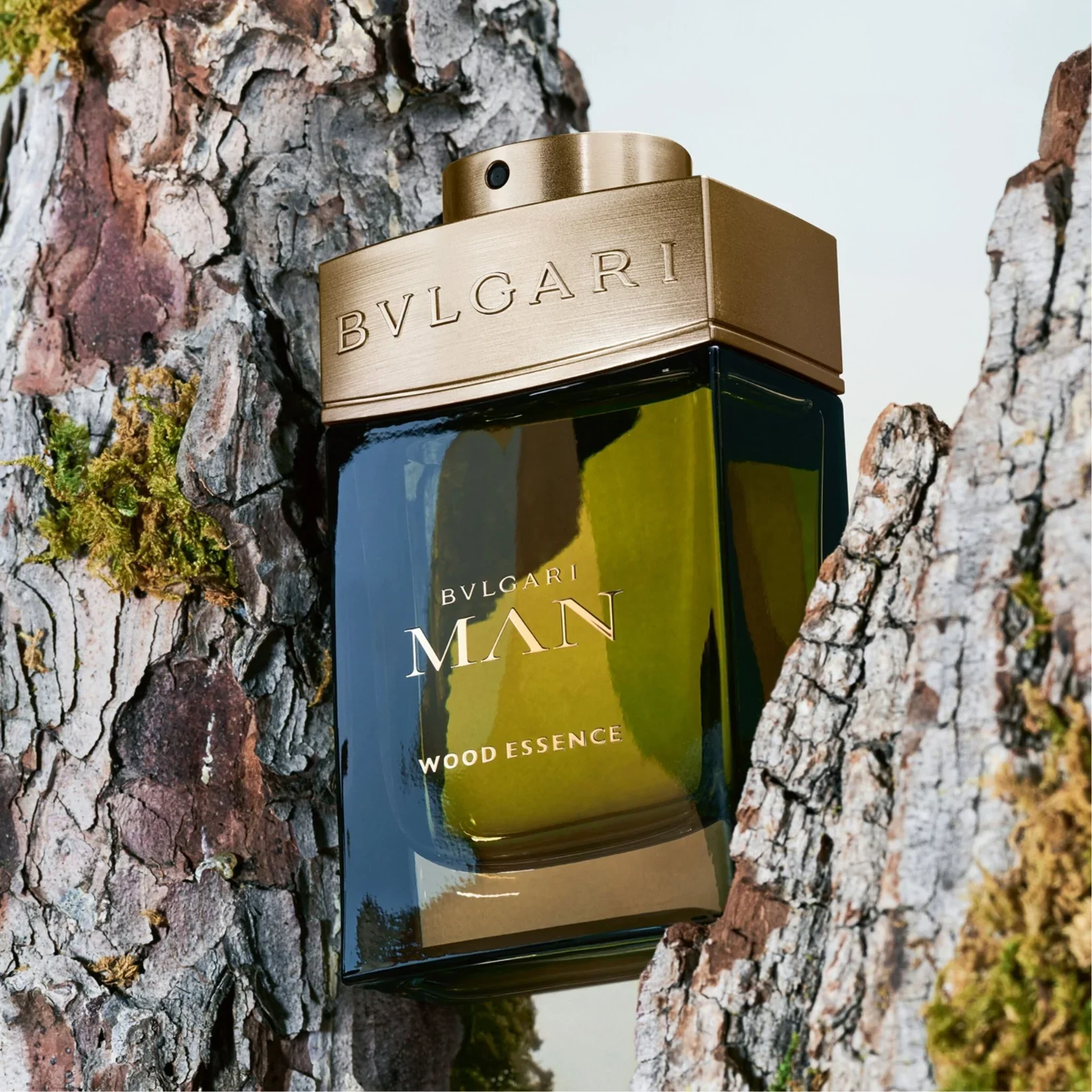 Bvlgari Wood Essence Eau De Parfum 100ml For Man - Image 3