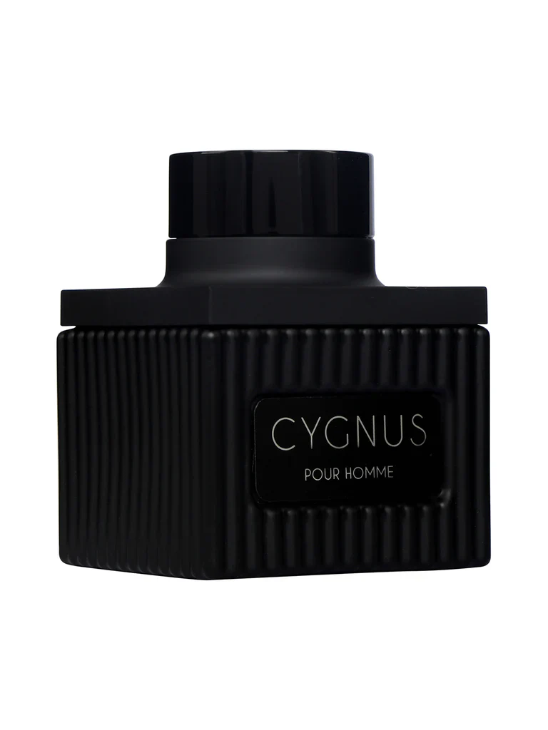 Flavia Cygnus Pour Homme Eau De Parfum 100ml For Men - Image 2