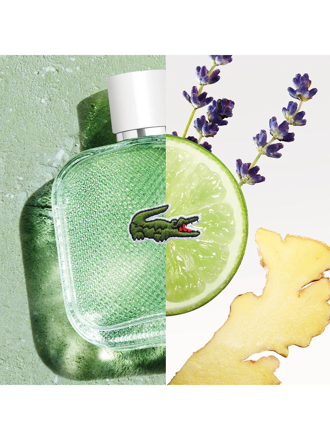 Lacoste L.12.12 Blanc Eau Fraiche Eau De Toilette 100ml For Man - Image 3