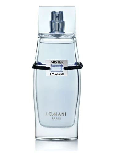Lomani Mister Lomani Eau De Toilette For Men 100ml - Image 2