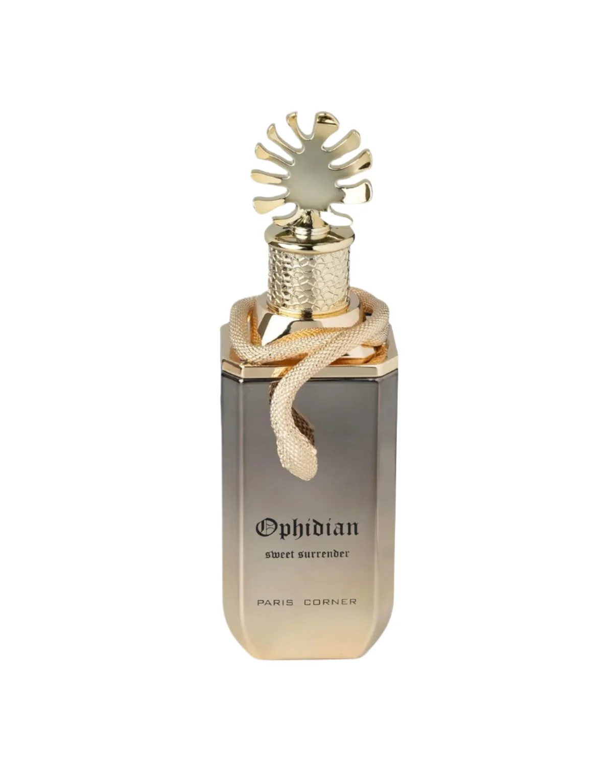 Paris Corner Ophidian Sweet Surrender Eau De Parfum 100ml For Men & Women - Image 2